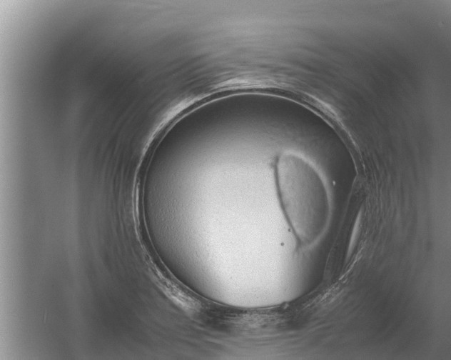 X0000058131179200509301945