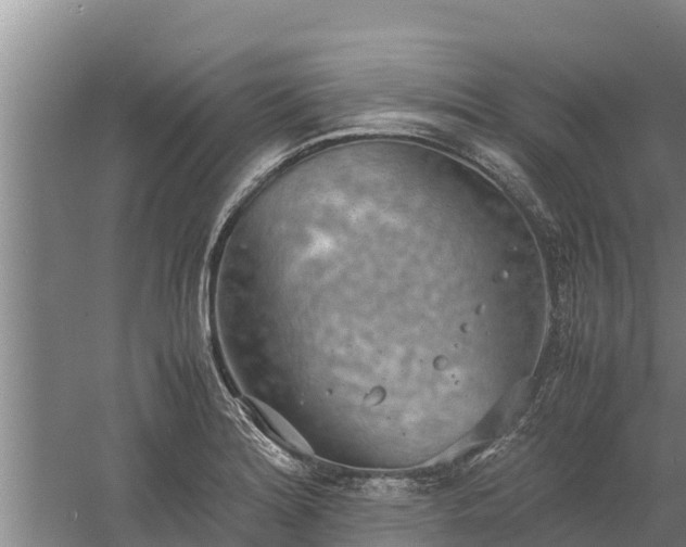 X0000058131180200509301945