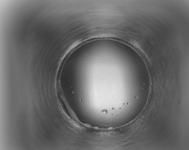 X0000058131181200509301945