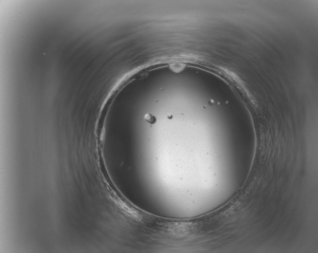 X0000058131184200509301945