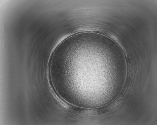 X0000058131187200509301945