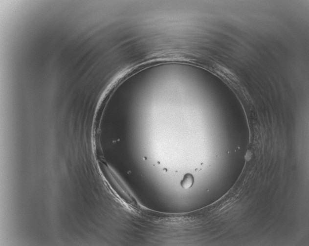 X0000058131188200509301945