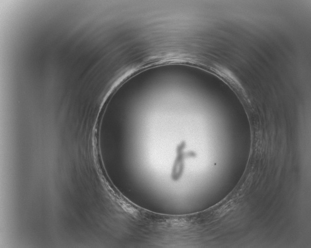 X0000058131190200509301945