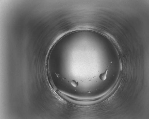 X0000058131192200509301945