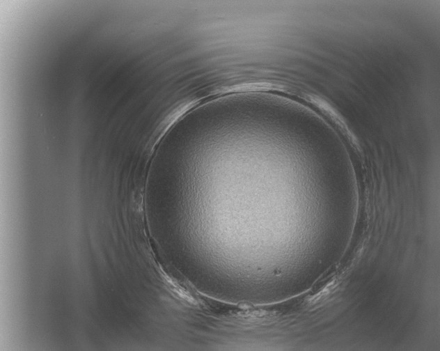 X0000058131193200509301945