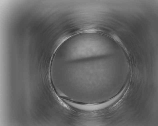 X0000058131194200509301945