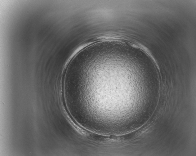 X0000058131195200509301945