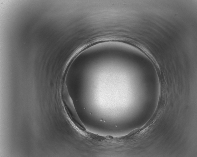 X0000058131197200509301944