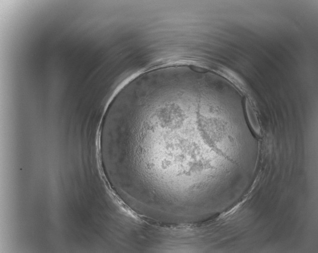 X0000058131198200509301944