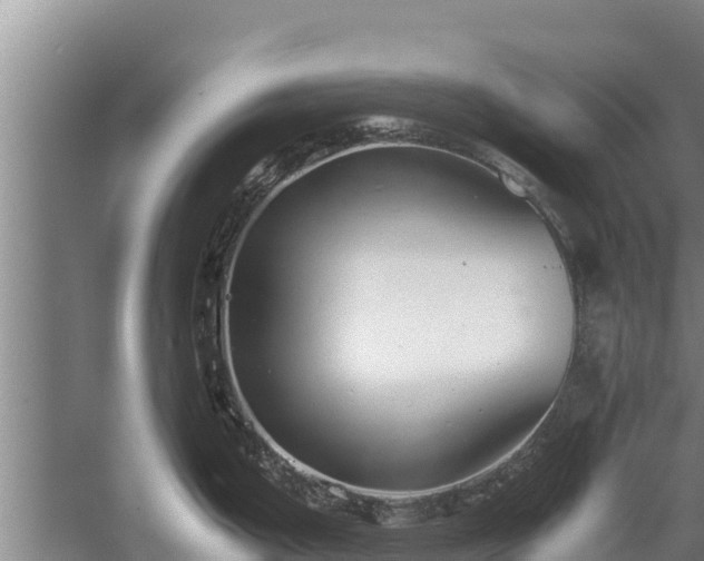 X0000058131199200509301944