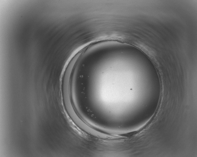 X0000058131200200509301944