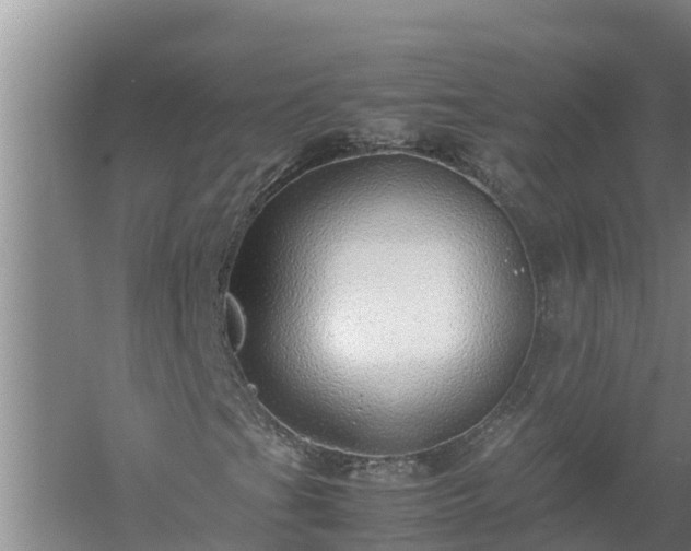 X0000058131201200509301944