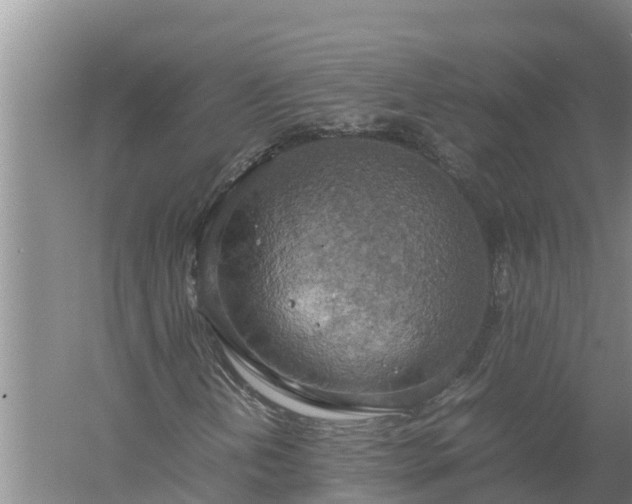 X0000058131202200509301944