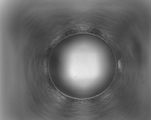 X0000058131203200509301944