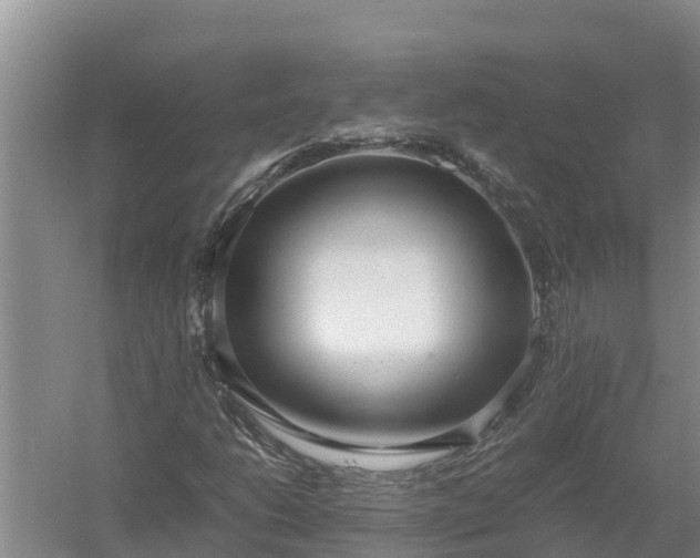 X0000058131206200509301944