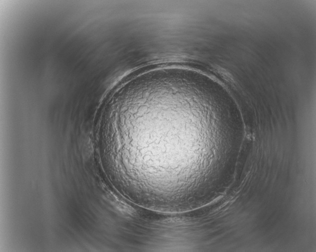 X0000058131212200509301944