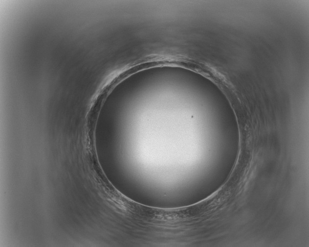 X0000058131215200509301944