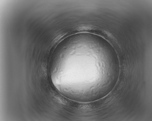 X0000058131217200509301944