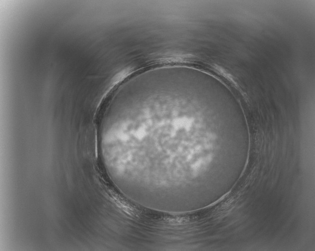 X0000058131219200509301944