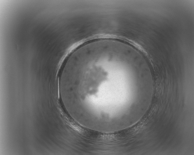 X0000058131223200509301944