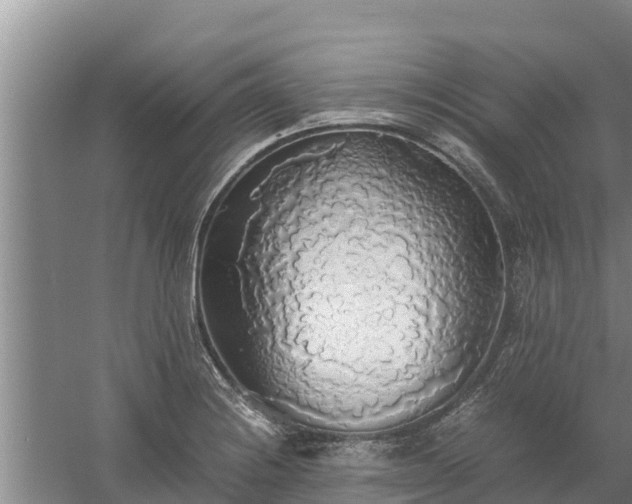 X0000058131228200509301944