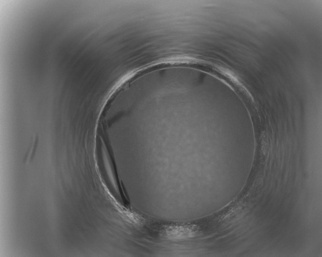 X0000058131229200509301944