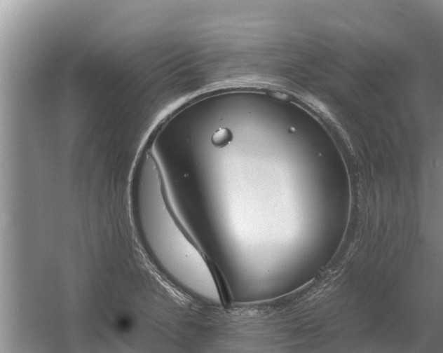 X0000058131230200509301944