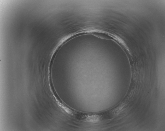 X0000058131231200509301944