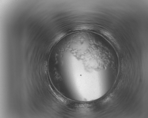 X0000058131233200509301944