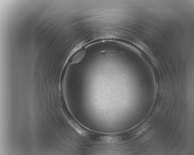 X0000058131234200509301944