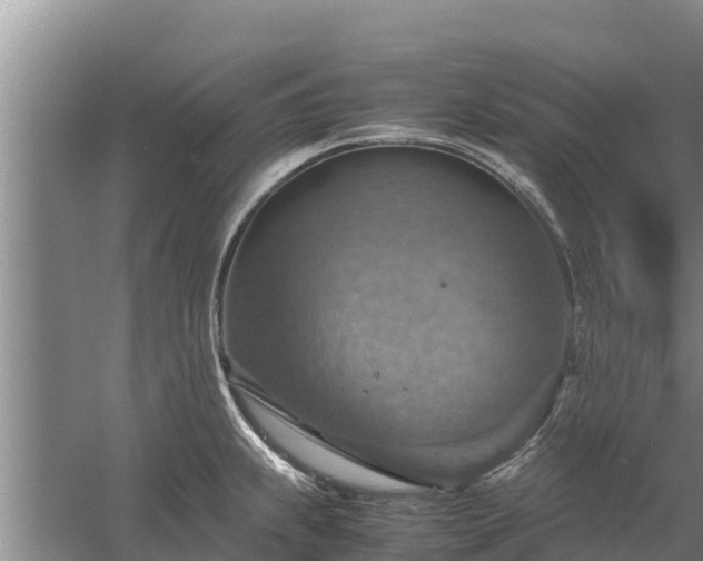 X0000058131239200509301944