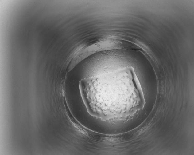 X0000058131241200509301944