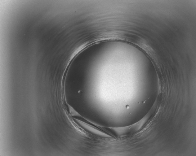 X0000058131242200509301944