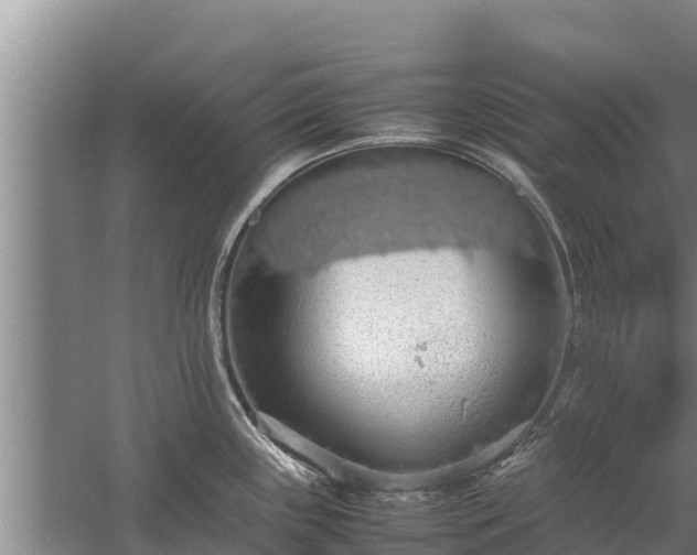 X0000058131243200509301944