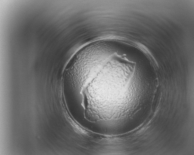 X0000058131244200509301944