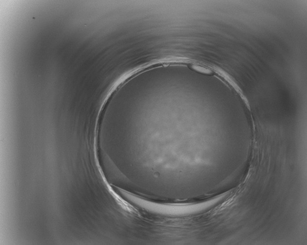 X0000058131245200509301944