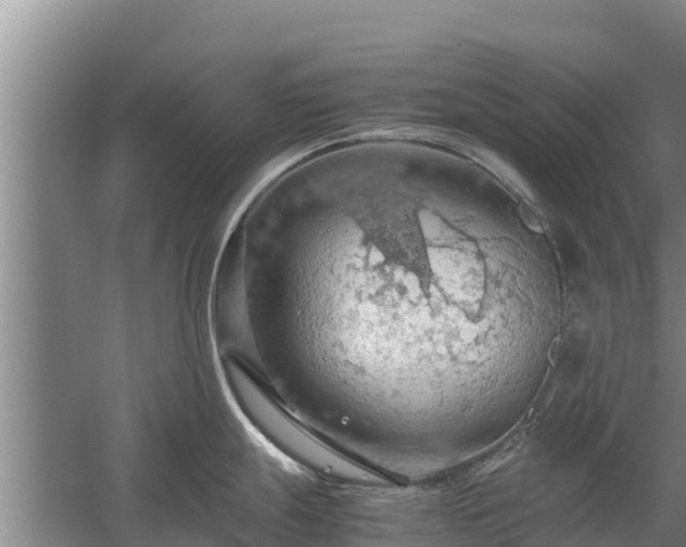 X0000058131247200509301944