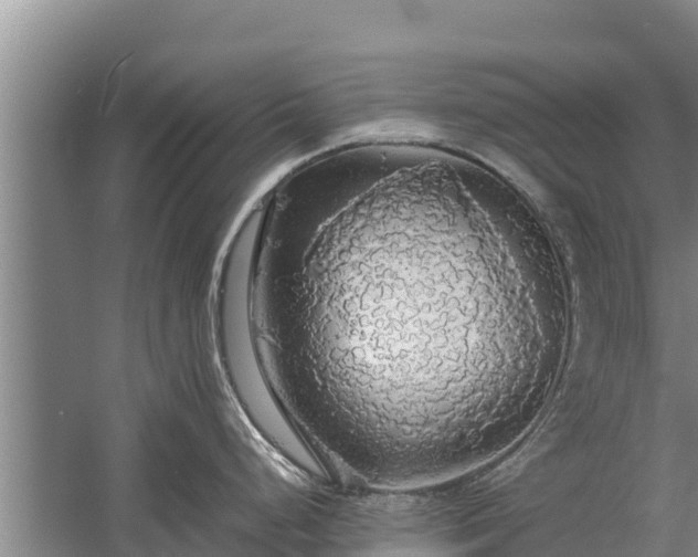 X0000058131248200509301944