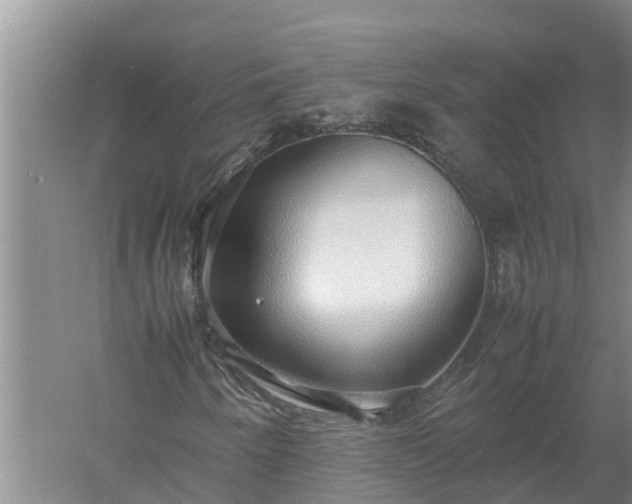 X0000058131250200509301944