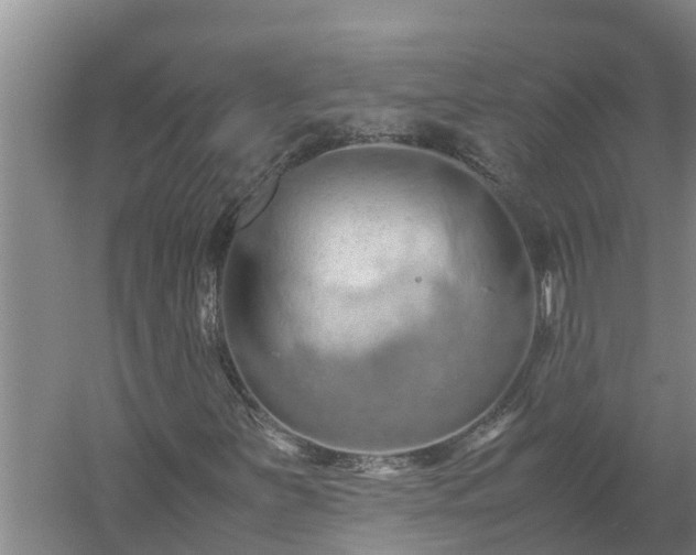 X0000058131251200509301944