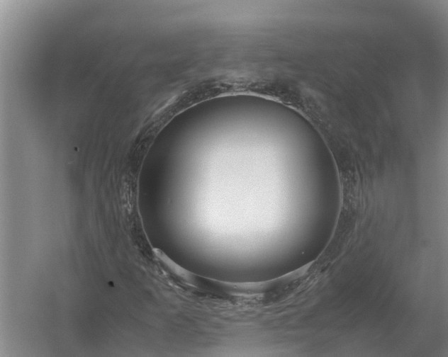 X0000058131253200509301944