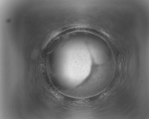 X0000058131255200509301943