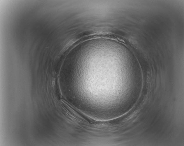 X0000058131257200509301943