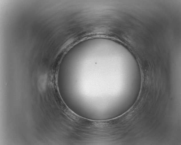 X0000058131258200509301943