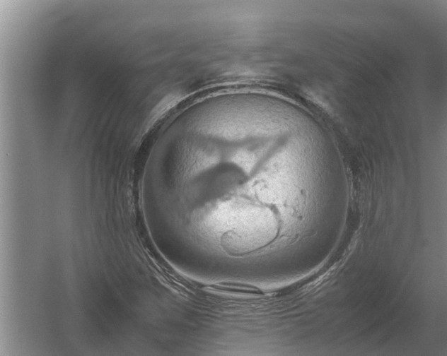 X0000058131259200509301943