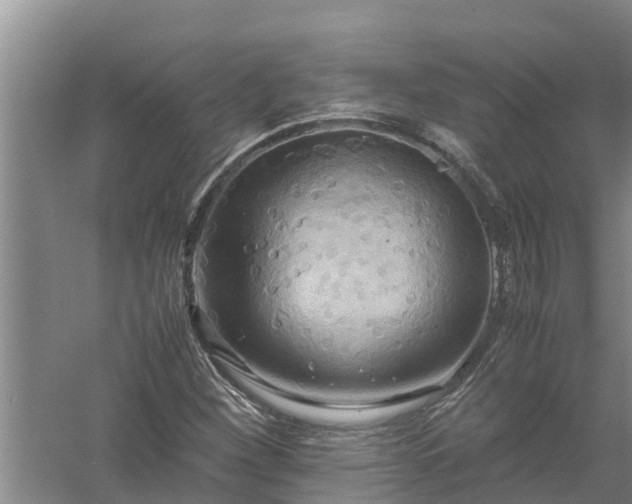 X0000058131260200509301943