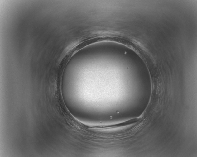 X0000058131261200509301943