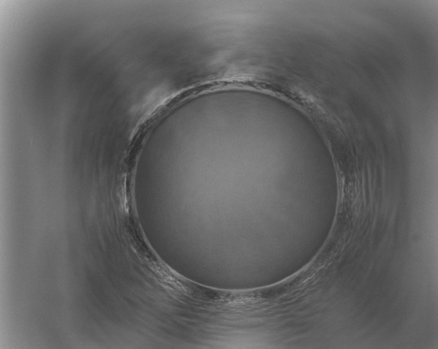 X0000058131262200509301943