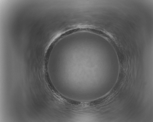 X0000058131263200509301943