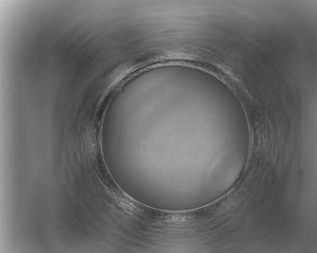 X0000058131266200509301943